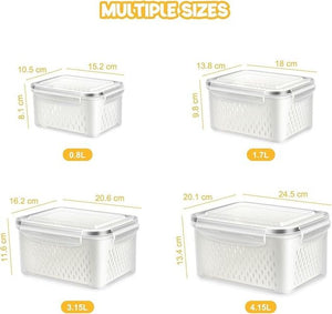 Fridge storage containers Pack of 2